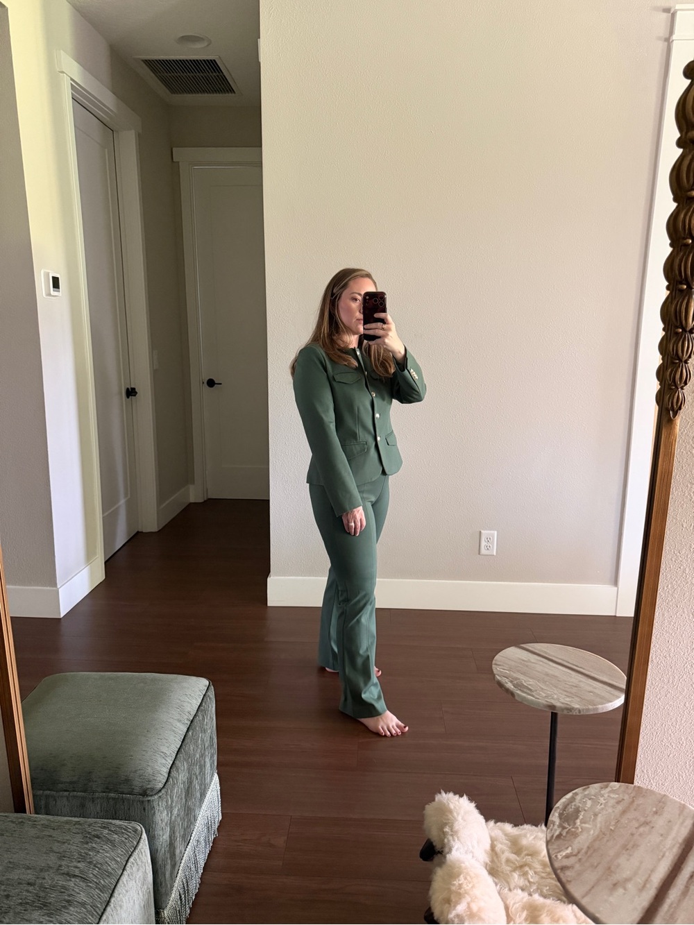 Ann Taylor Womens Green Tailored Pants